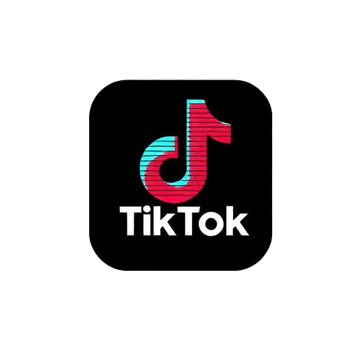 TikTok Viral System logo
